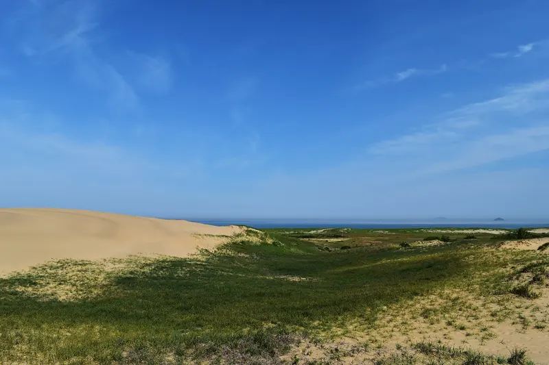 Grass-covered sand dunes under a blue sky at Sinduri, with the sea on the horizon