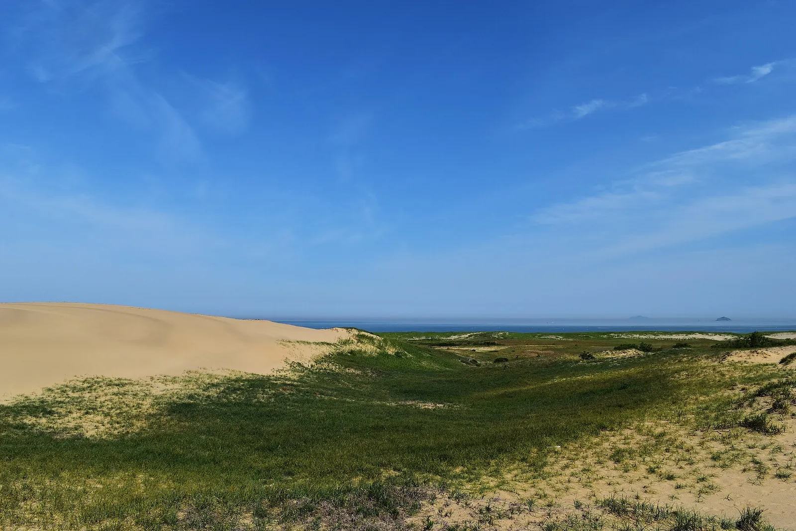 Grass-covered sand dunes under a blue sky at Sinduri, with the sea on the horizon