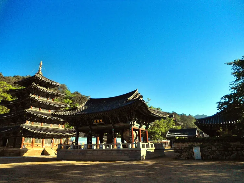 The five-storey wooden Palsangjeon pagoda and temple halls at Beopjusa under a clear blue sky