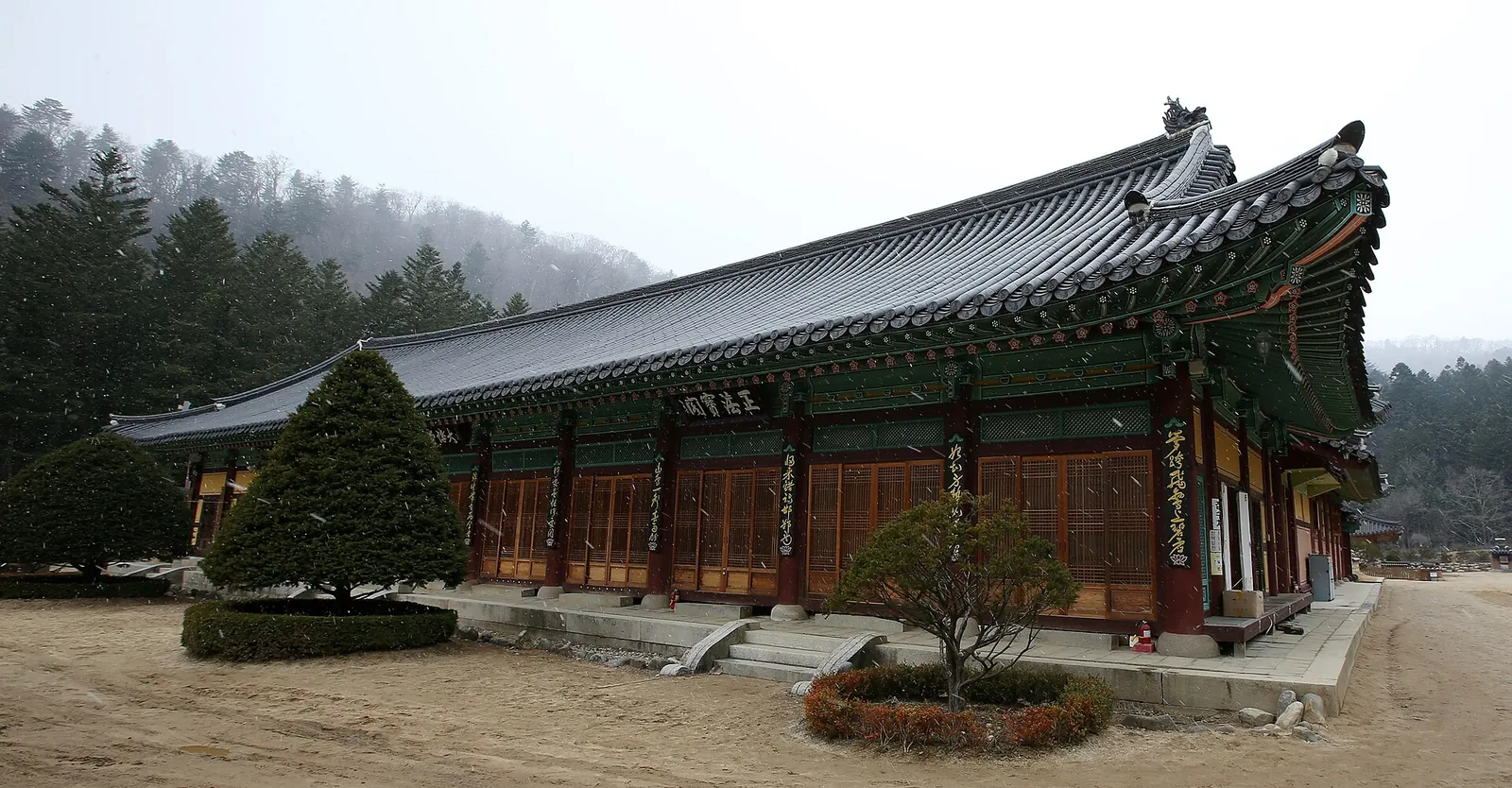 A traditional wooden temple hall with a curved tiled roof at Woljeongsa, with fir trees behind