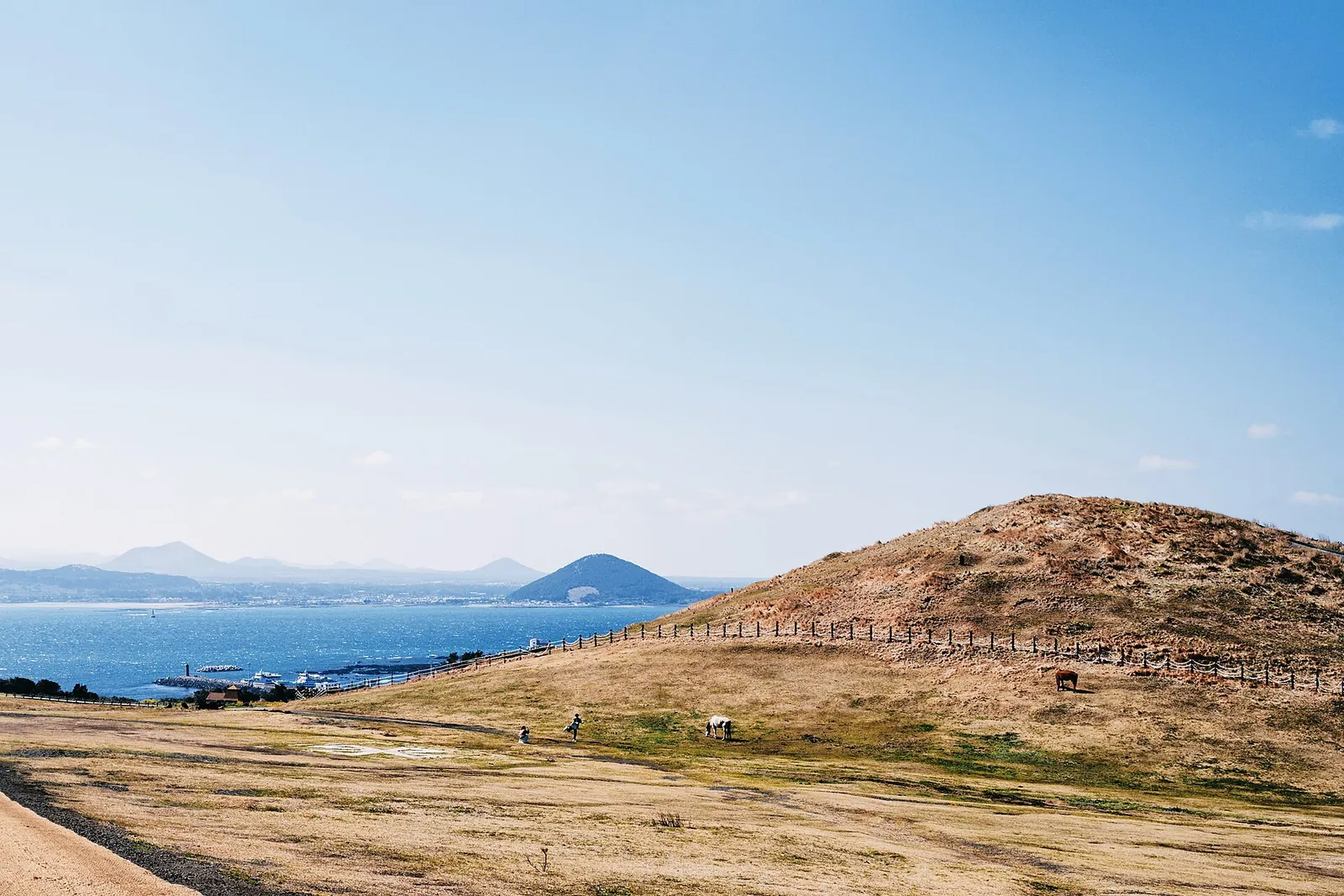 View from the top of Udobong over brown grassland and paths, with the sea and Jeju's coast in the distance