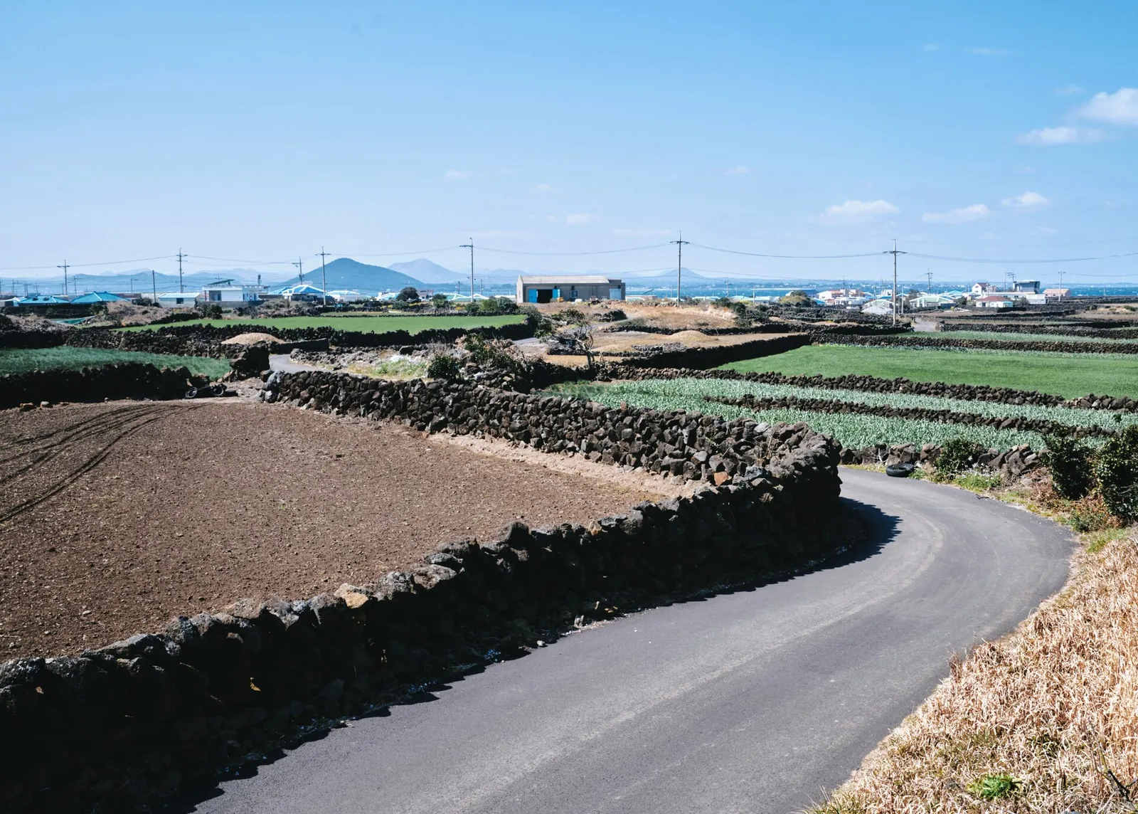 A narrow road between black basalt stone walls and fields on Udo, with low houses and the sea behind