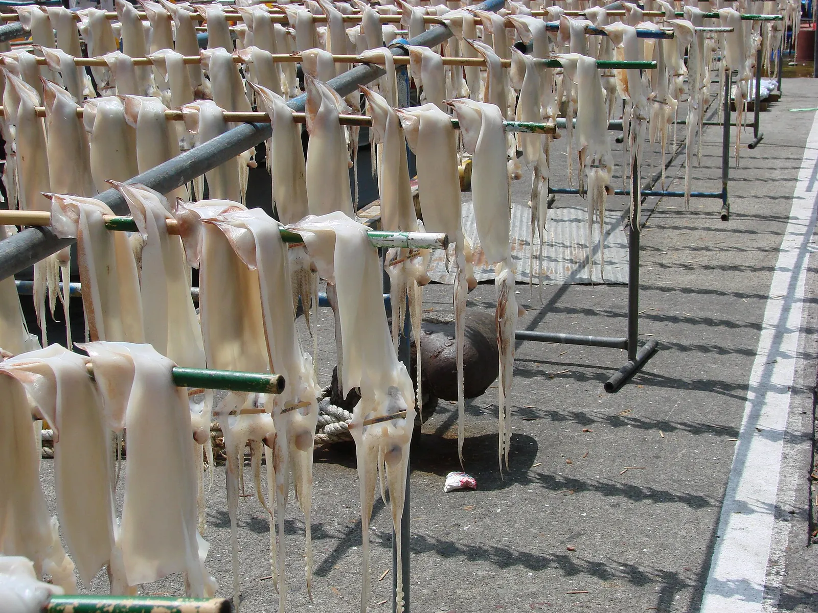 Rows of squid hung on racks to dry in the sun on Ulleungdo