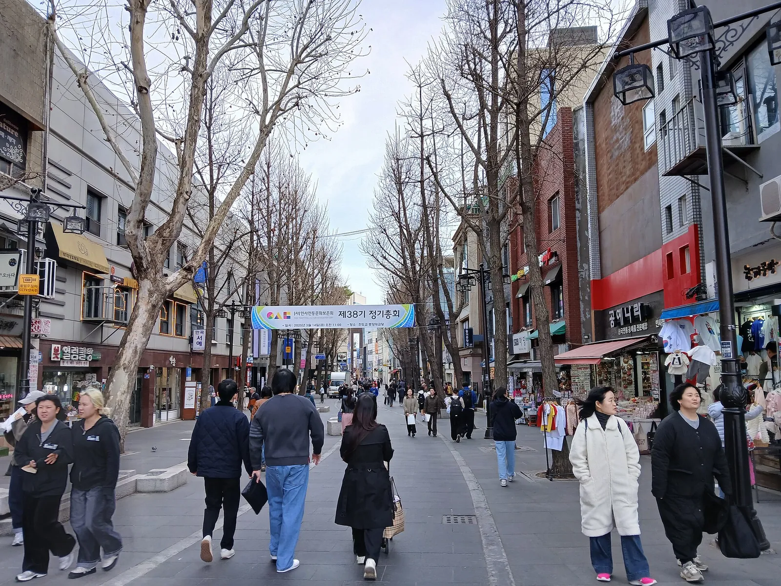 A broad pedestrian street lined with bare plane trees, shops and people walking in Insa-dong, Seoul