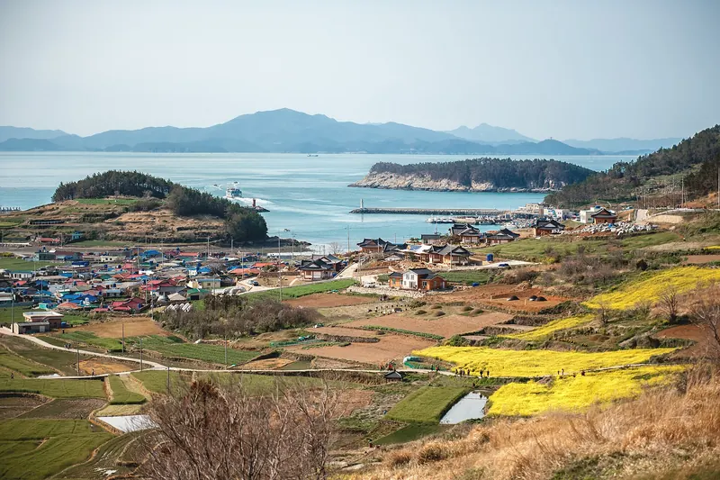 Spring on Cheongsando: yellow canola fields and terraced plots above a village and bay, with islands on the horizon