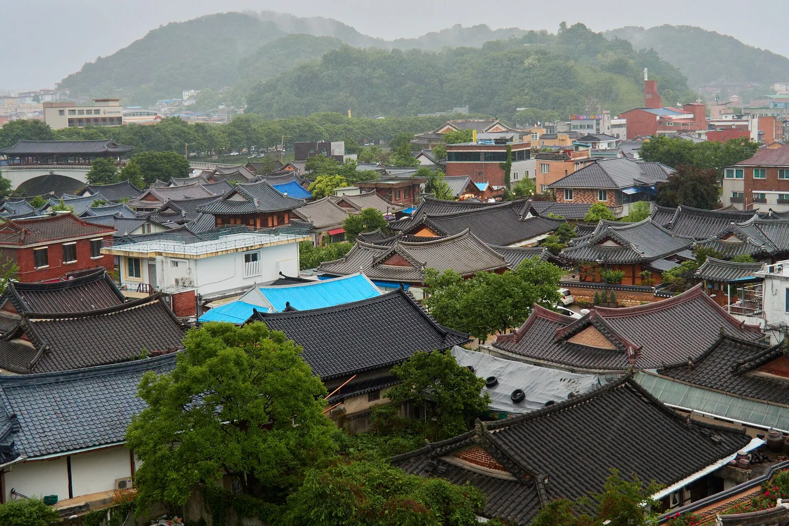 Tiled hanok roofs crowded together in Jeonju Hanok Village with green hills behind