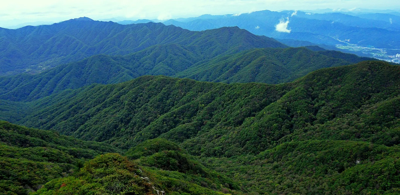Forested ridges of Chiaksan stretching to the horizon, seen from the summit area