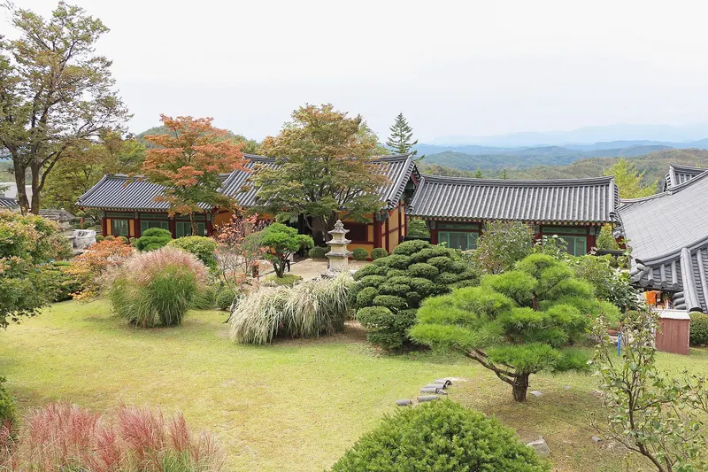 Autumn garden of clipped pines and grasses among tiled-roof halls at Buseoksa Temple, with mountain ridges behind