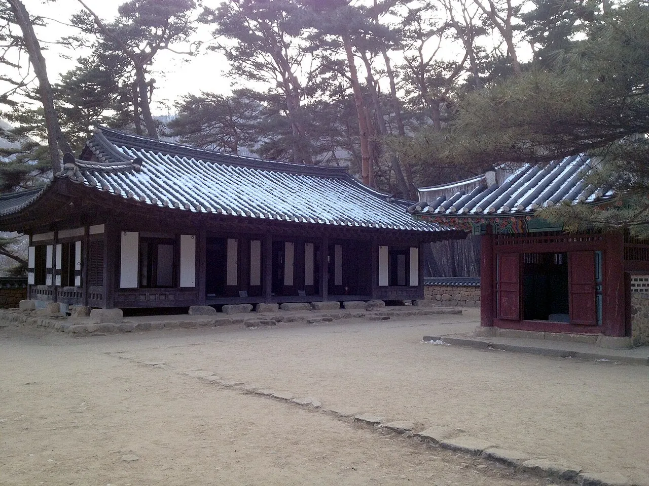 A single-storey tiled-roof hanok house among tall pine trees on a sandy yard at Cheongnyeongpo