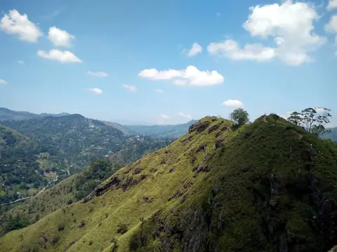 Den grønne bjergryg Little Adam's Peak over bakkerne omkring Ella under en blå himmel