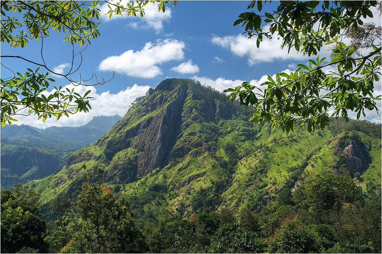 Ella Rock visto desde Little Adam's Peak entre las ramas de un árbol
