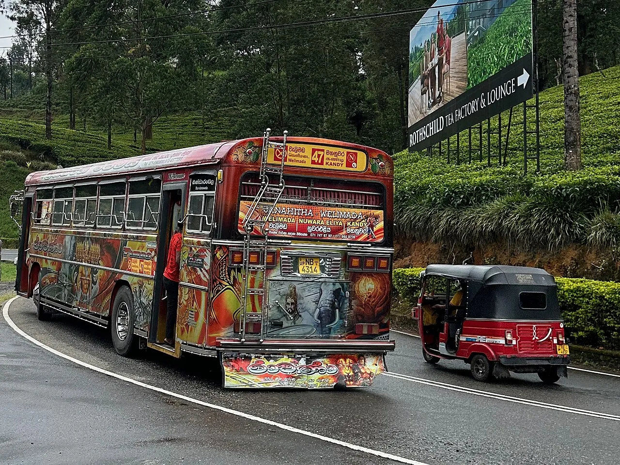 Ein bemalter Linienbus und ein rotes Tuk-Tuk auf einer nassen Straße durch Teefelder im Hochland von Sri Lanka