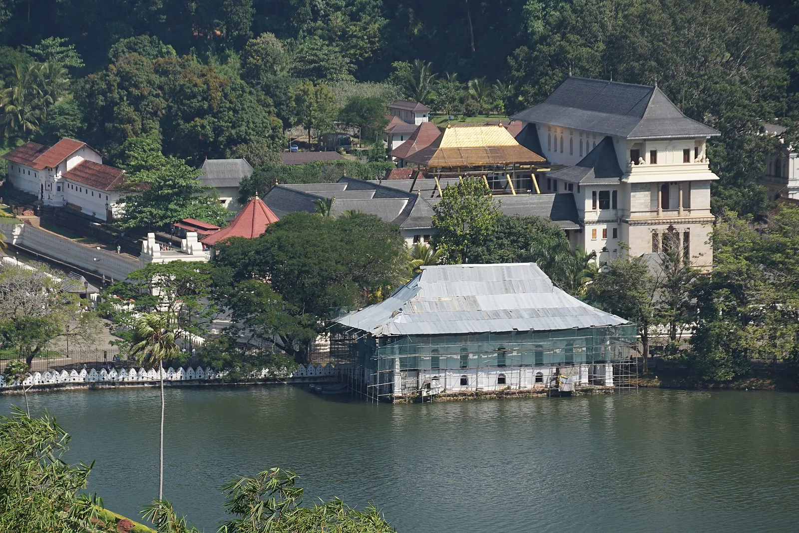Kandy Lake med skovklædte bakker og bygninger langs søen, én med hvidt tag helt nede ved vandkanten
