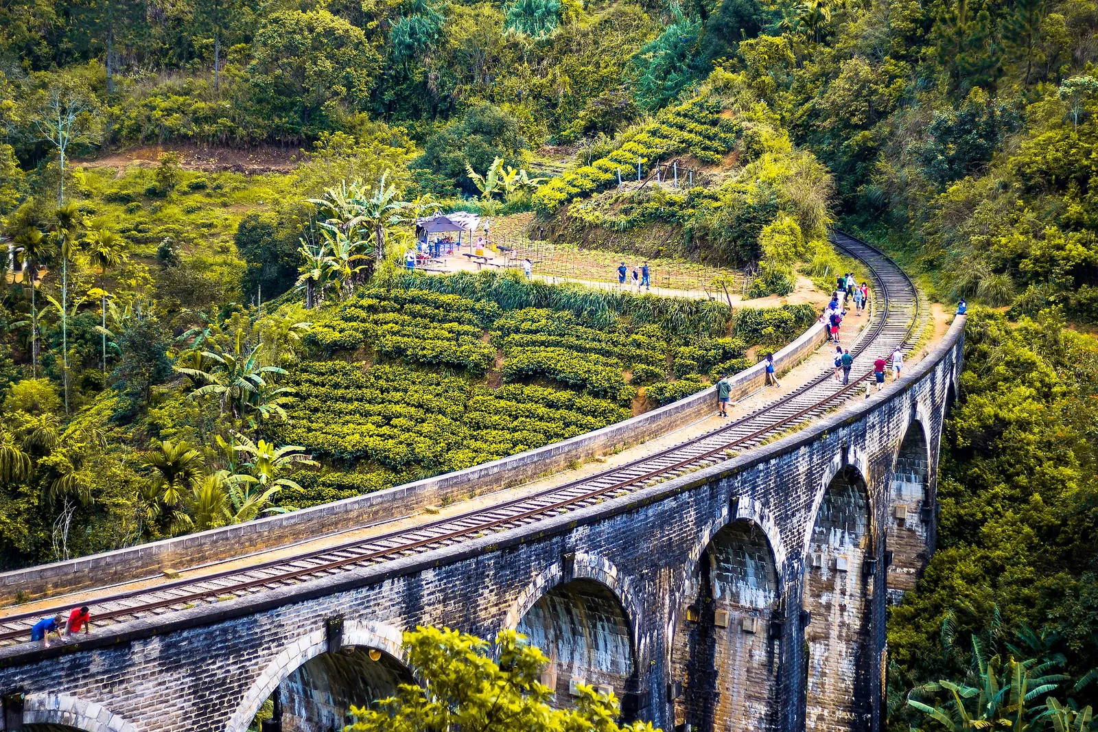 The curved Nine Arch Bridge above tea gardens near Ella
