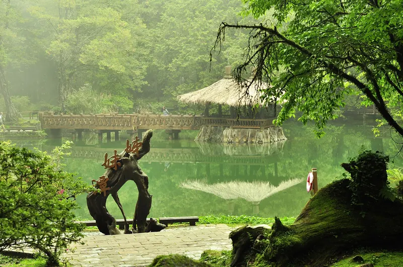 Un copac și un pavilion reflectate într-un Lac al Surorilor din Alishan