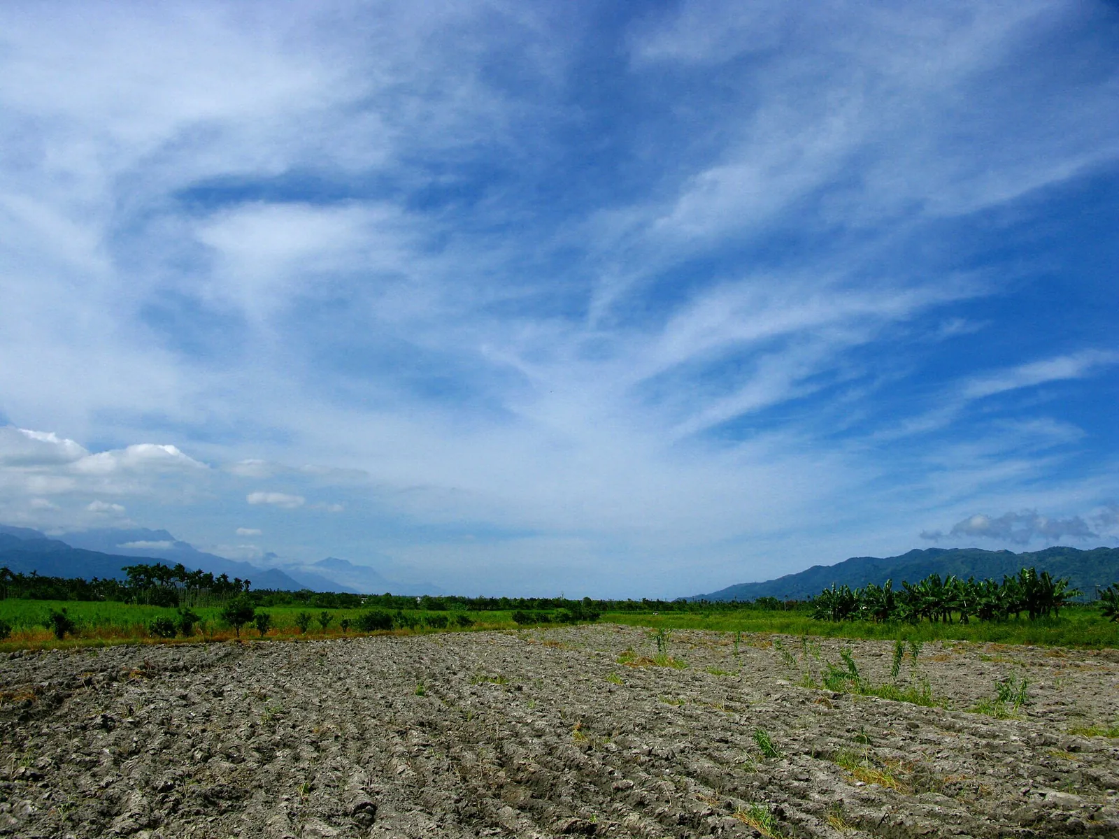 An open field with mountains beyond in Taiwan’s East Rift Valley
