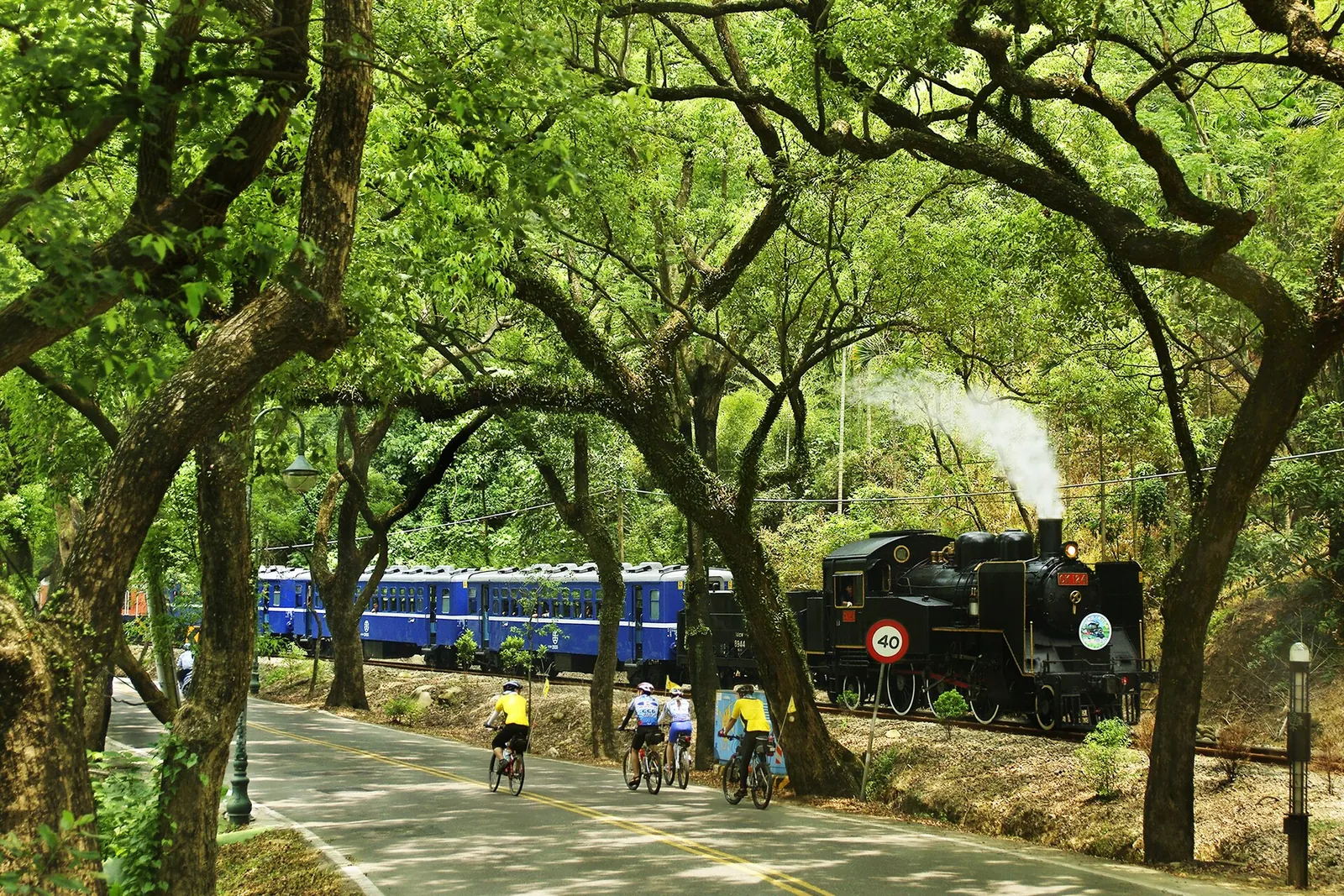 Uma locomotiva a vapor junto às árvores do Green Tunnel de Jiji
