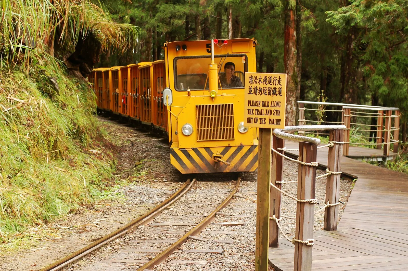Žlutý Bong Bong Train na lesní železnici Taipingshanu