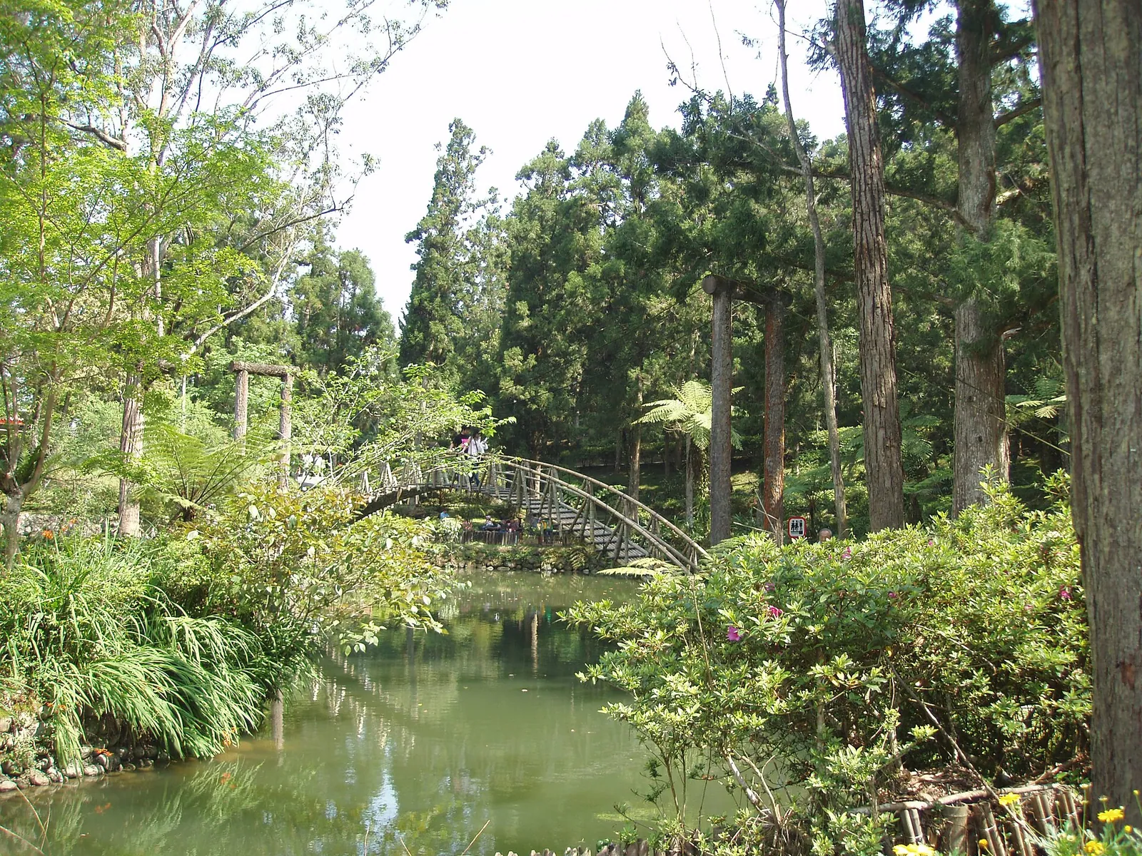 Laghetto Universitario e il suo ponte ad arco a Xitou