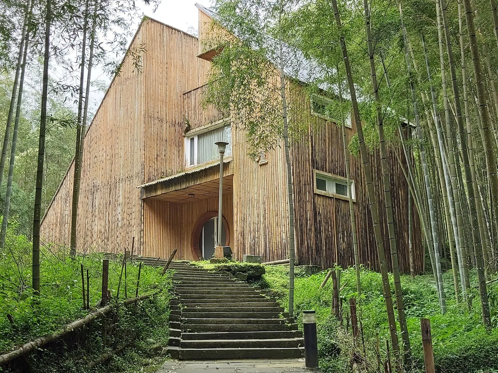 Bambù che cresce accanto al Bamboo Cottage di Xitou