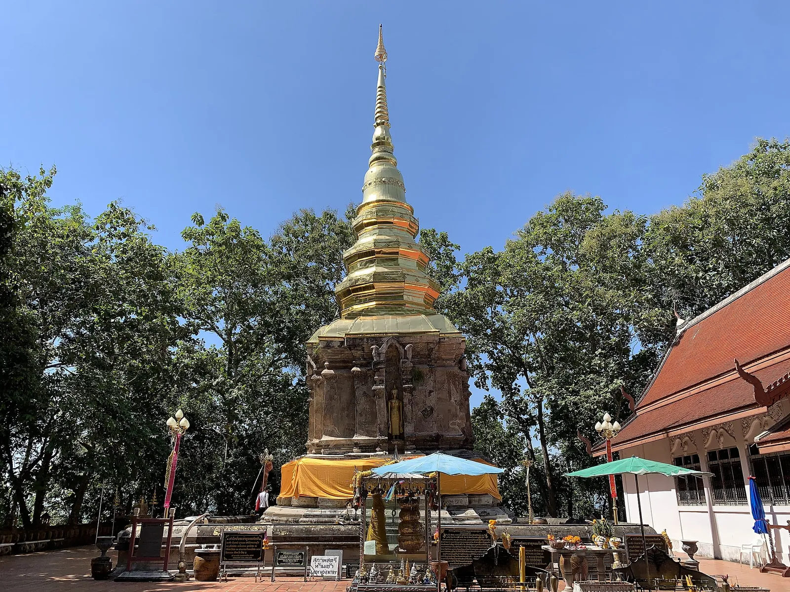 The gilded spire of Wat Phra That Chom Kitti's chedi above trees on its hilltop