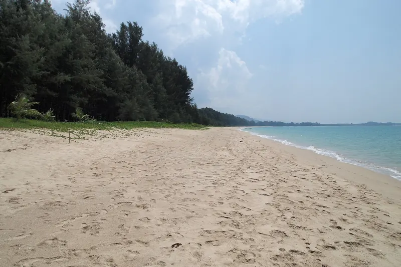 A long empty sandy beach lined with casuarina trees on the Khao Lak coast