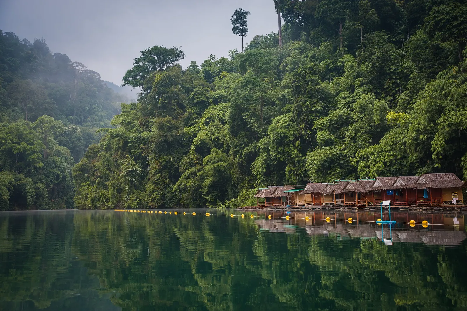 A row of floating raft houses below forested limestone cliffs on Cheow Lan Lake