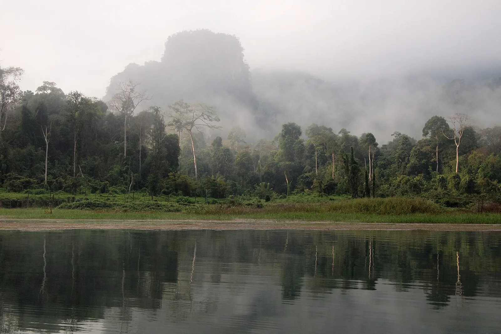 Morning mist over rainforest and still water at Cheow Lan Lake