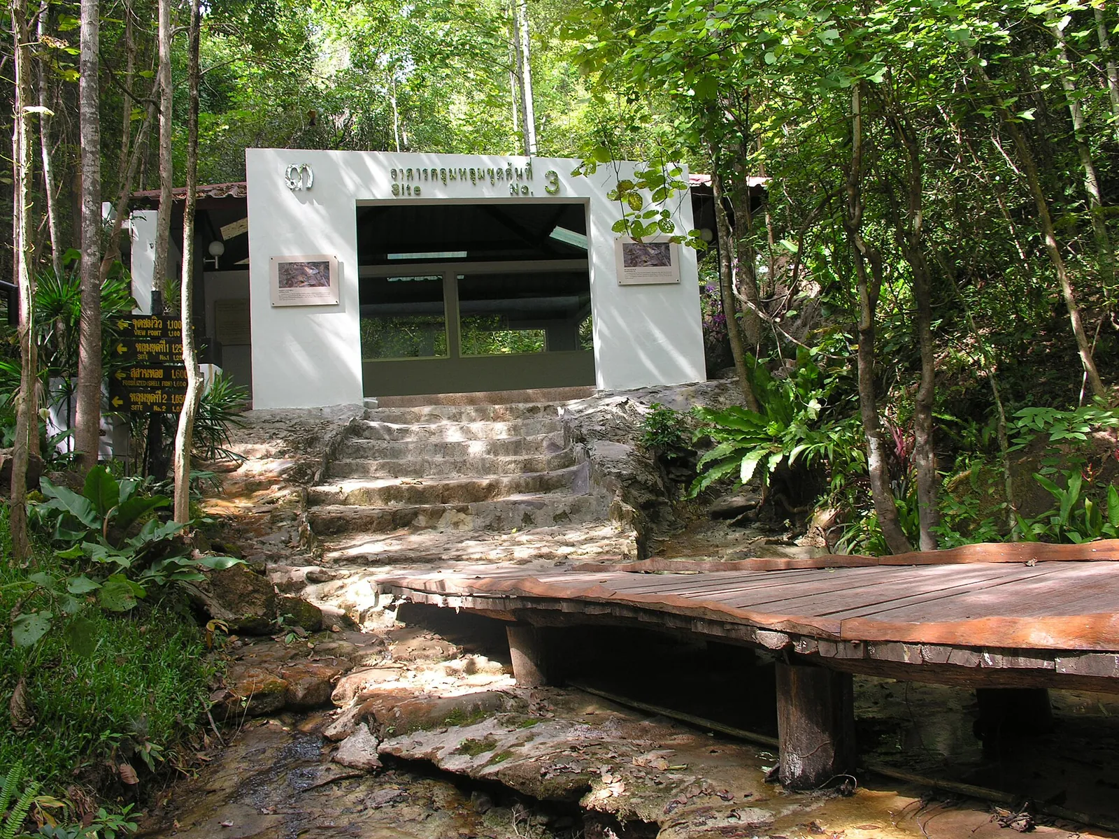 A white shelter protecting dinosaur fossil excavation site 3 in the forest at Phu Wiang