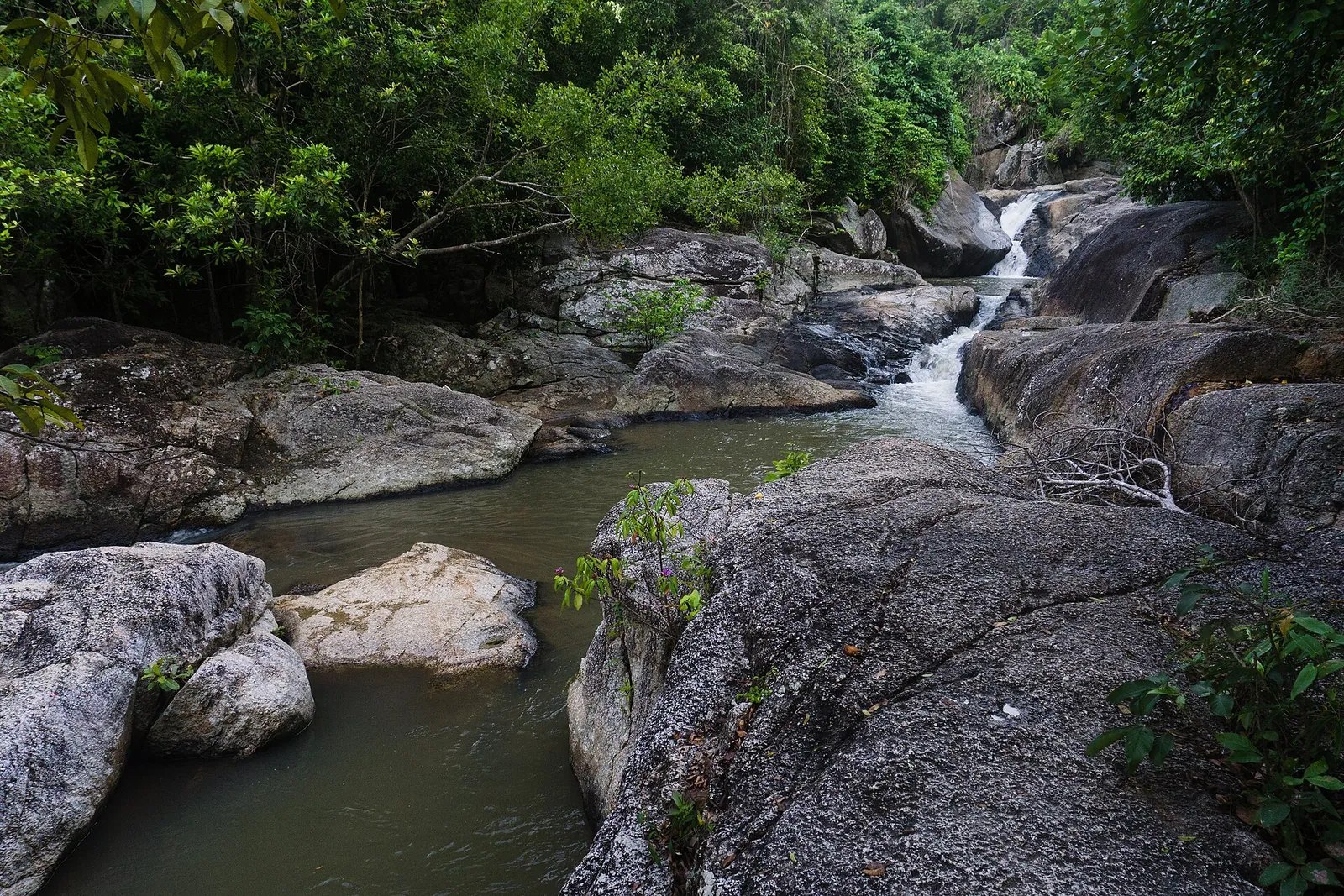 A stream tumbling over granite boulders in the forest at Than Sadet