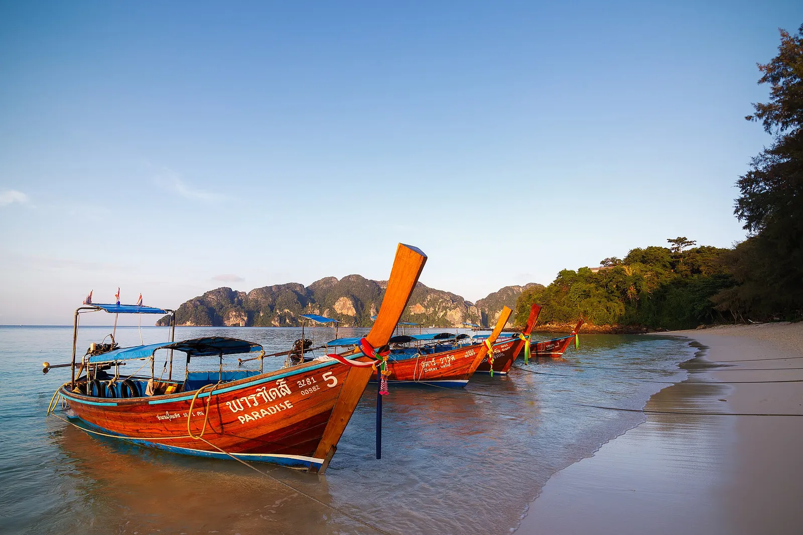 Longtail boats with ribbons on the prow moored at Long Beach on Phi Phi Don