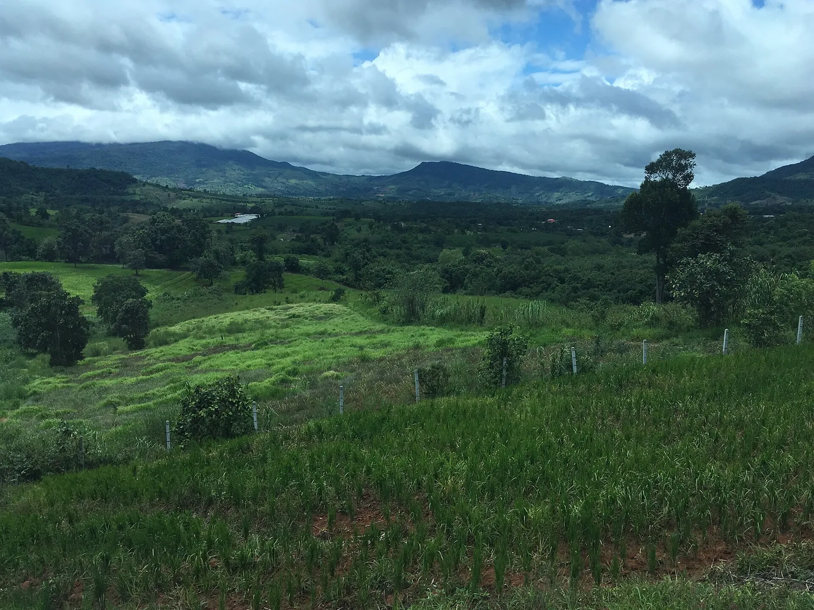 Green hills and fields in Phu Ruea district under a cloudy sky