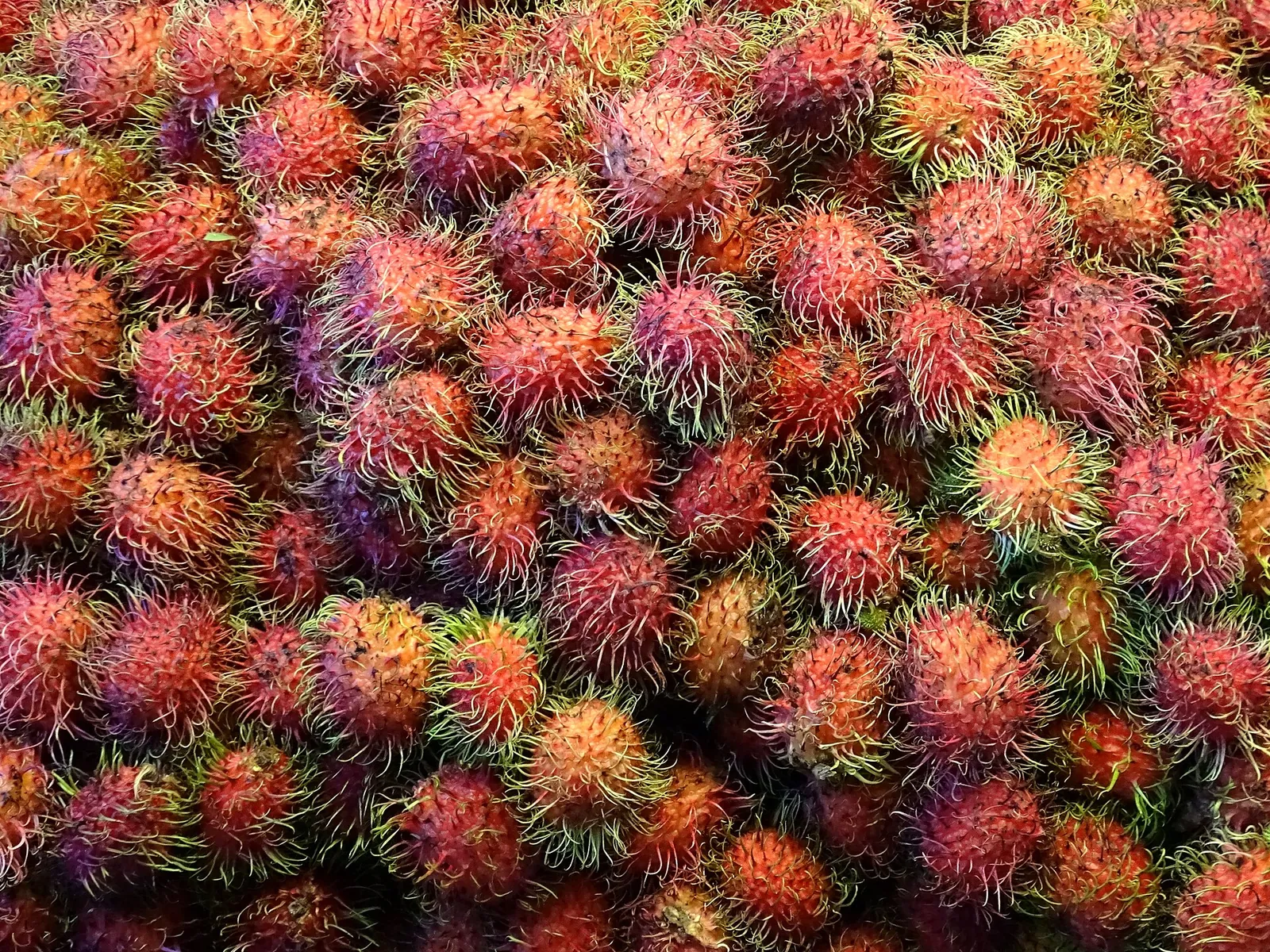 Rambutan rossi impilati in una bancarella di frutta di Chiang Mai