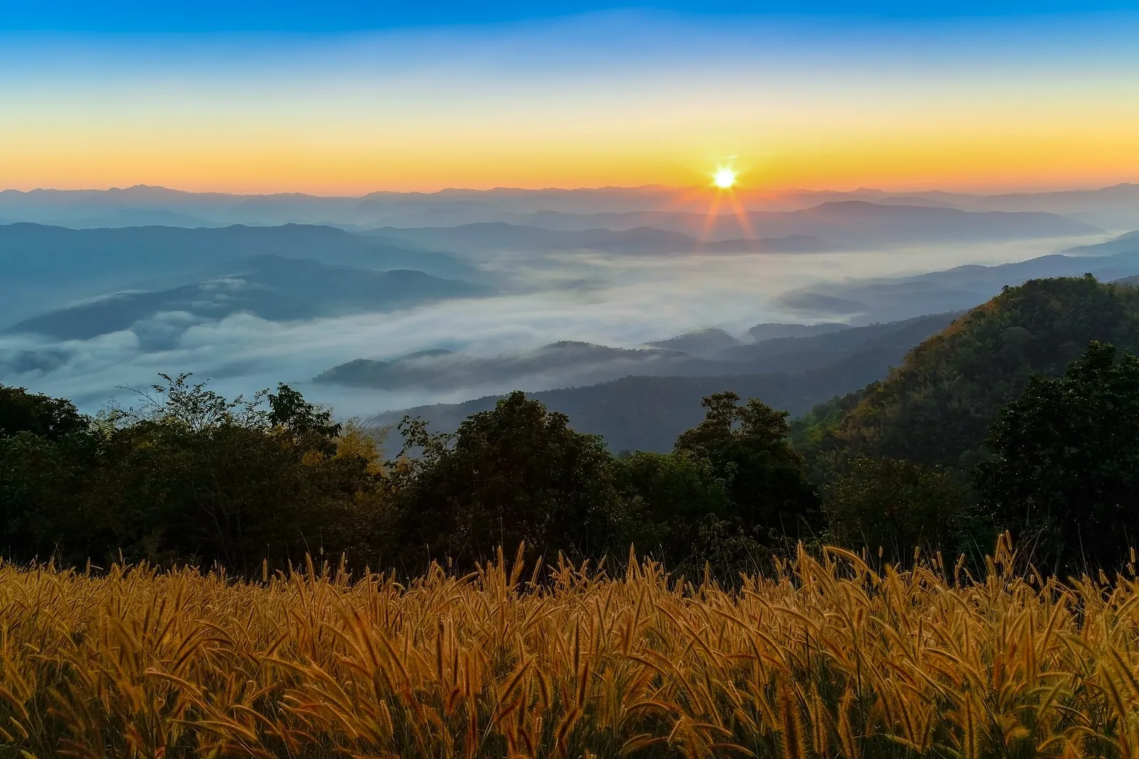 The sun rising over a sea of mist and mountain ridges seen from Doi Samer Dao