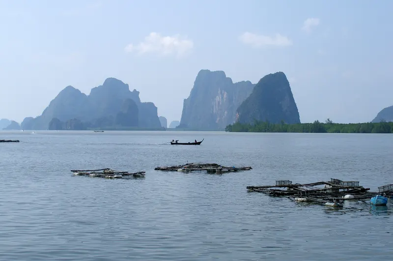 Limestone karst islands rising from the calm green water of Phang Nga Bay
