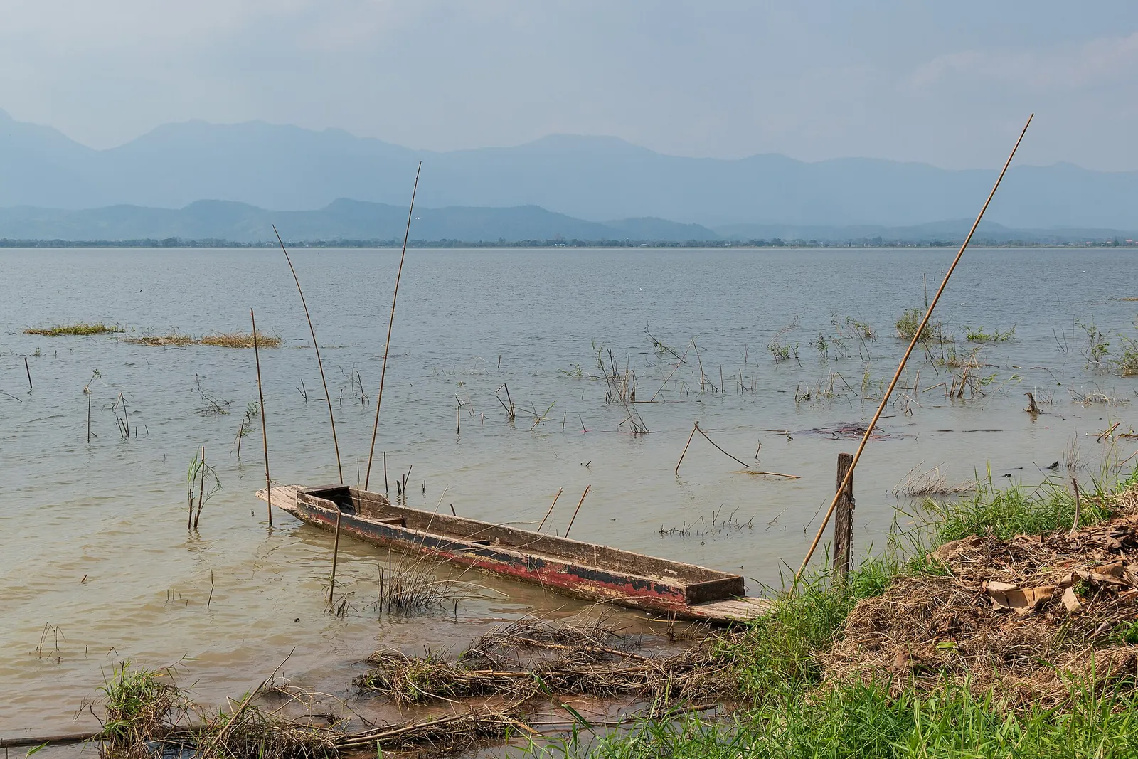 Um barco a remos de madeira amarrado entre juncos na margem do Kwan Phayao, com colinas ao fundo