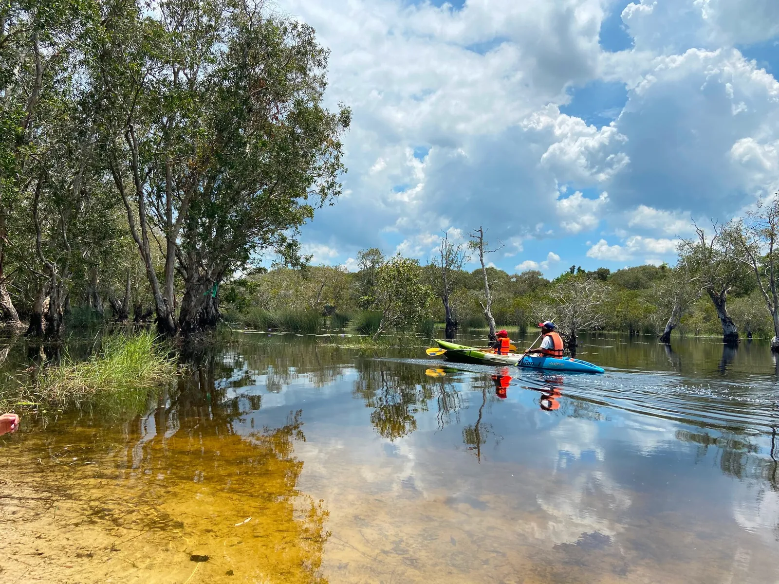 Kayakers paddling through flooded forest at the Rayong Botanical Garden