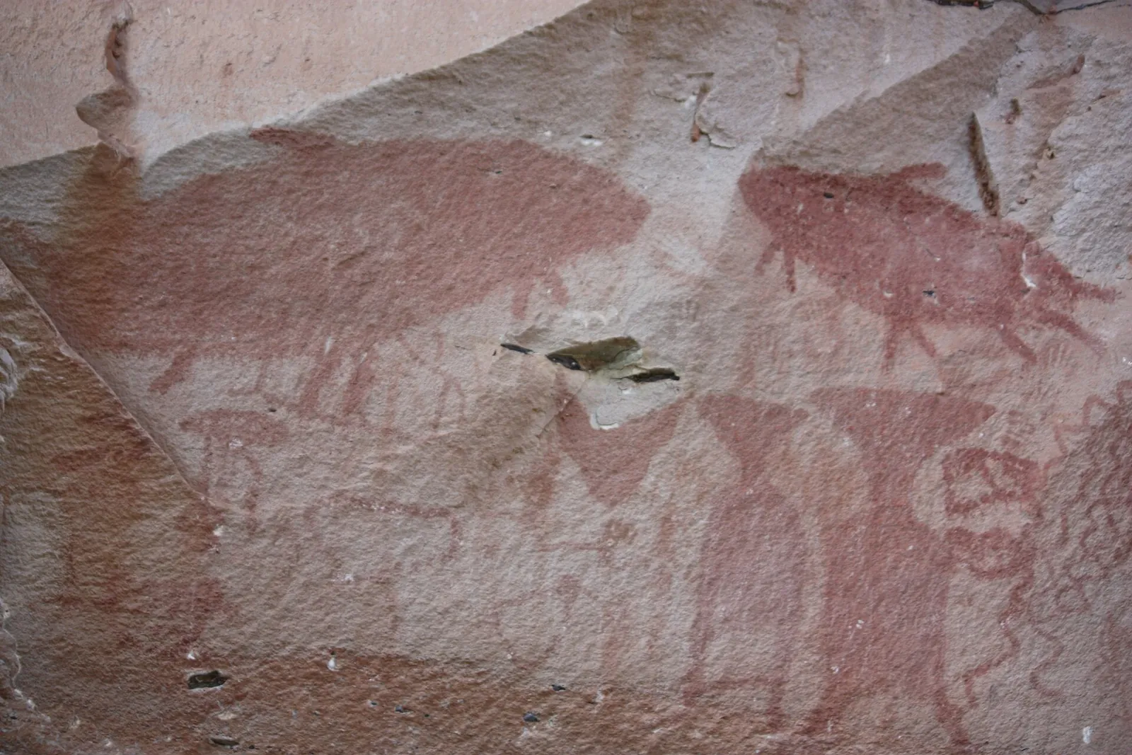 Red prehistoric paintings of animals and figures on a sandstone cliff at Pha Taem