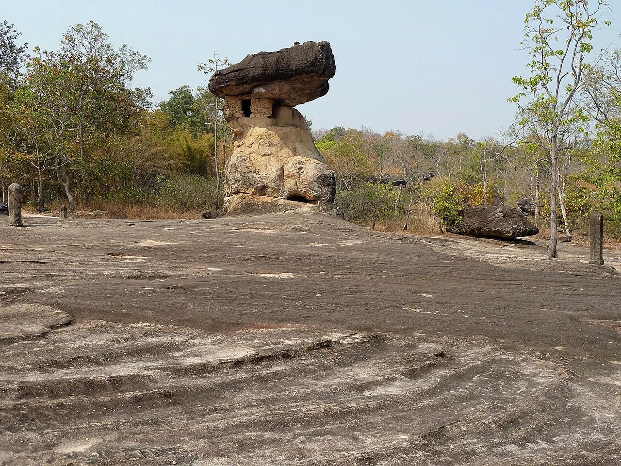 A mushroom-shaped sandstone rock formation on a flat rock outcrop among trees at Phu Phrabat