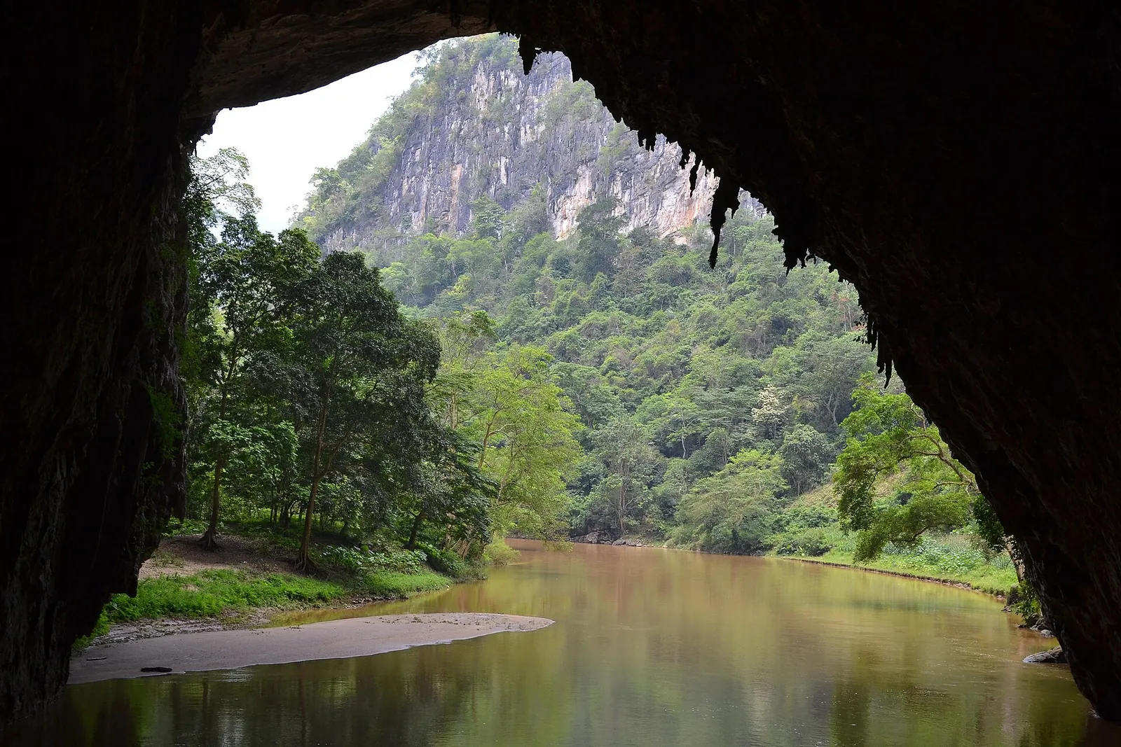The wide mouth of Puong Cave framing the Nang River and forested cliffs outside