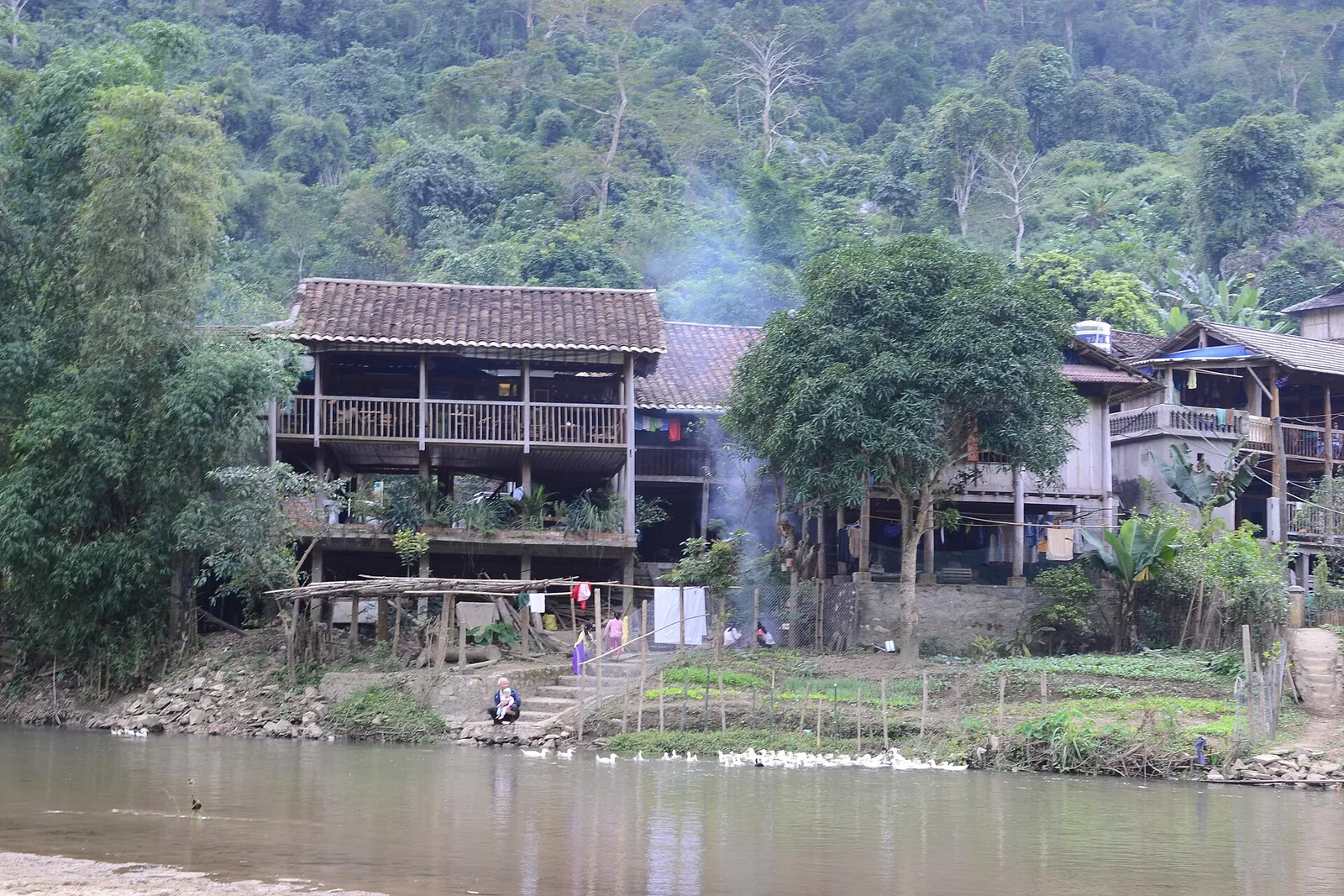 A Tay wooden stilt house on the riverbank at Pac Ngoi, with forest behind