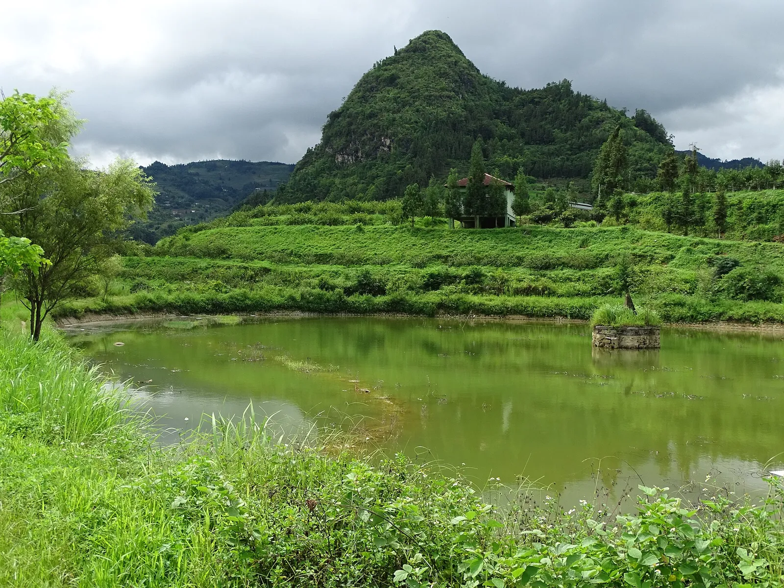 A green pond below a forested hill and terraced slopes near Bac Ha