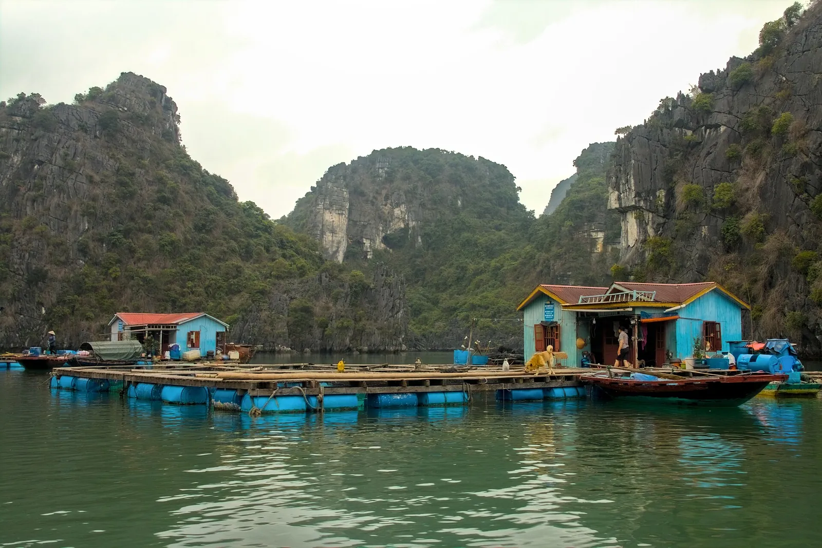 Wooden houses on blue floats moored beneath forested limestone hills in Bai Tu Long Bay