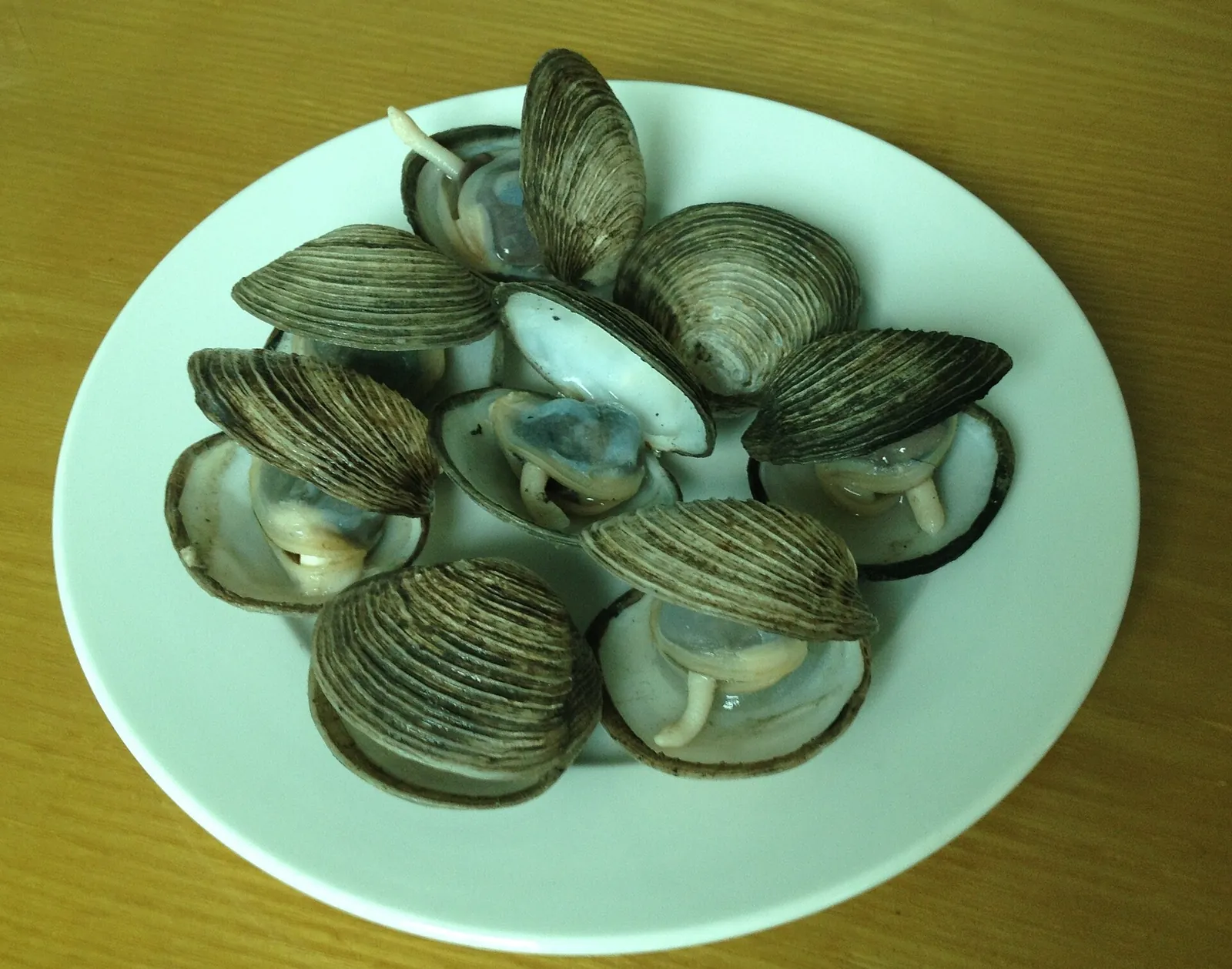 A plate of steamed ngan clams with their shells open