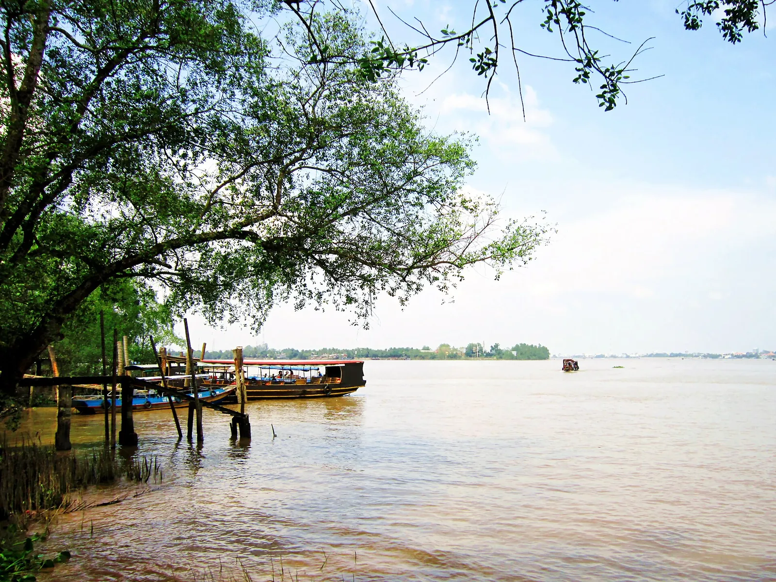 A tour boat moored at a wooden jetty on the wide Tien River at Con Phung