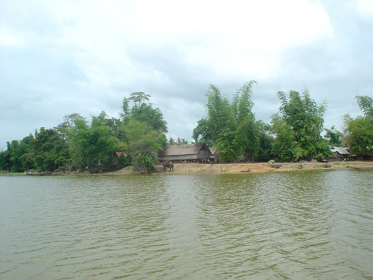 Thatched stilt houses among trees on the shore of Lak Lake seen across the water