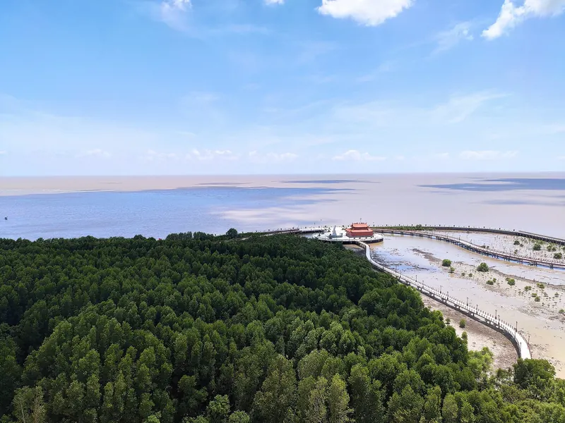 Aerial view of the mangrove forest at Cape Ca Mau meeting the sea, with the embankment and pier at the tip