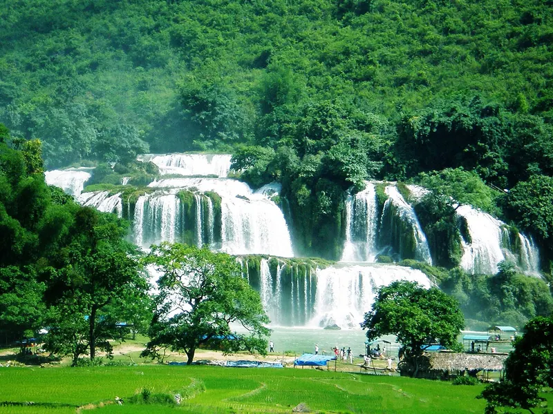 The broad tiers of Ban Gioc Waterfall pouring through green forest above the Quay Son River