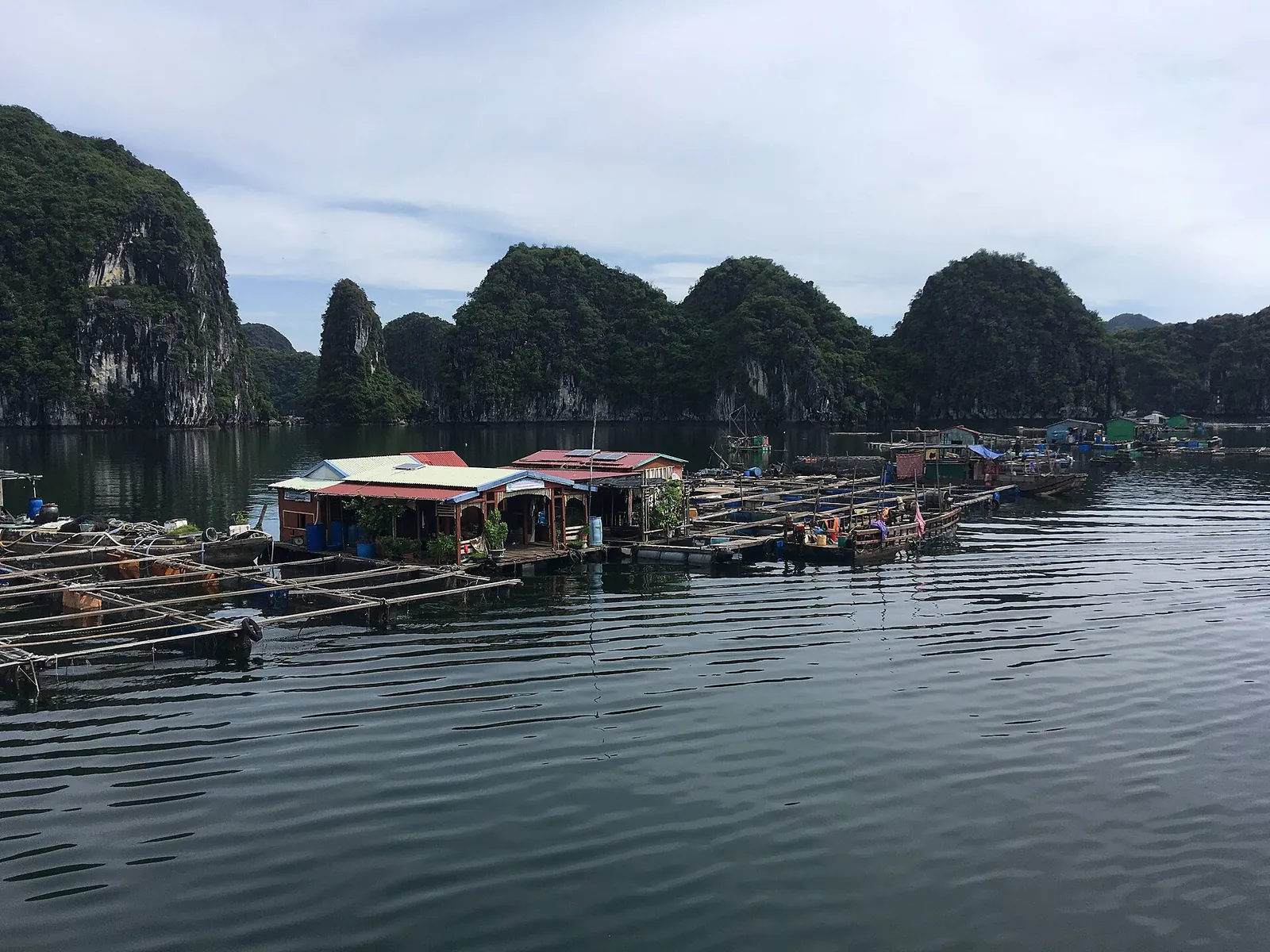 Floating houses and fish-farm rafts below limestone cliffs in Lan Ha Bay