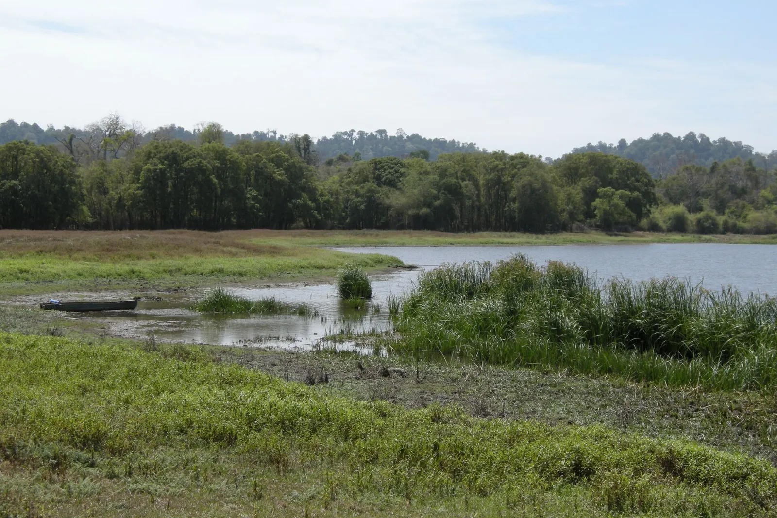Open wetland with reeds, a lake and forested hills beyond in Cat Tien National Park